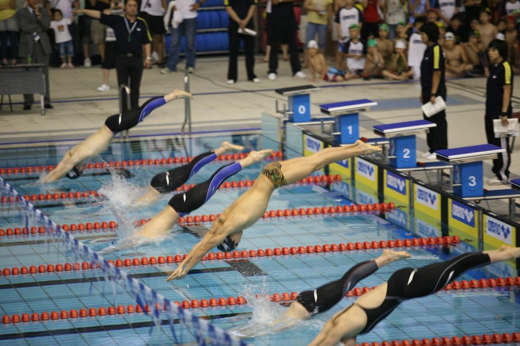 swimmers starts in swimming competition